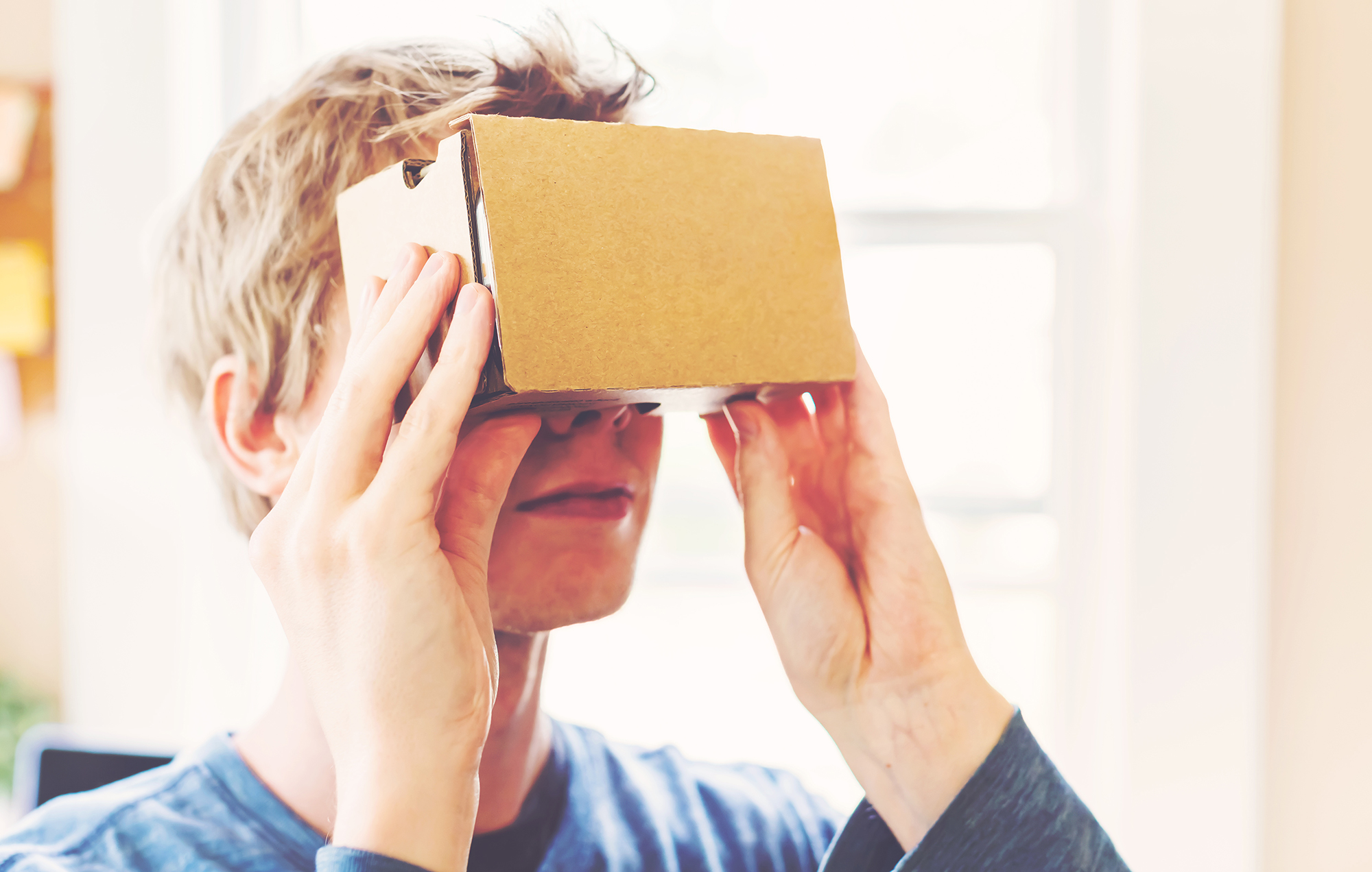Google Cardboard, Web Virtual Reality